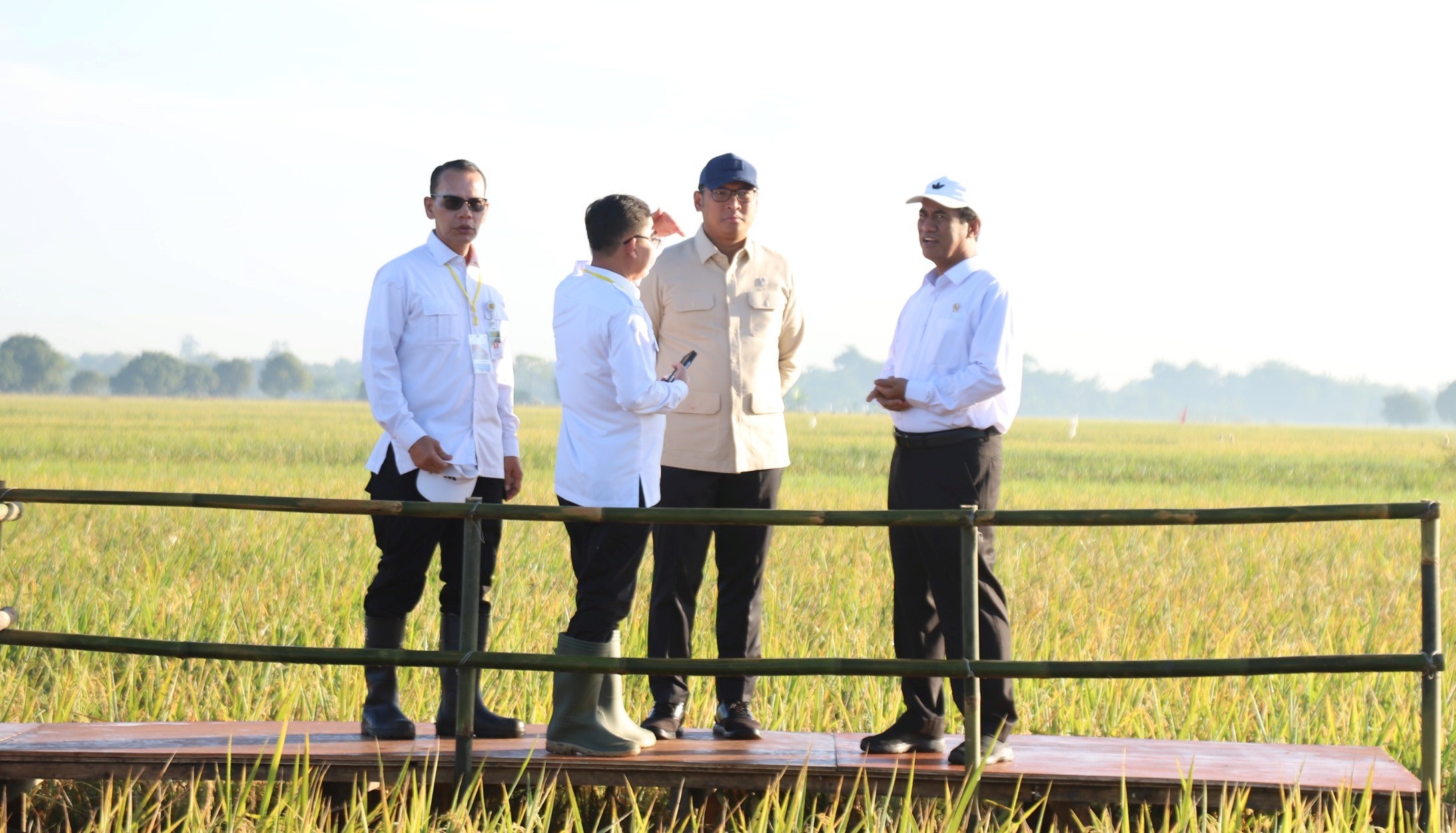 Produksi Beras Indonesia Diprediksi Melimpah, Tertinggi di Kawasan ASEAN