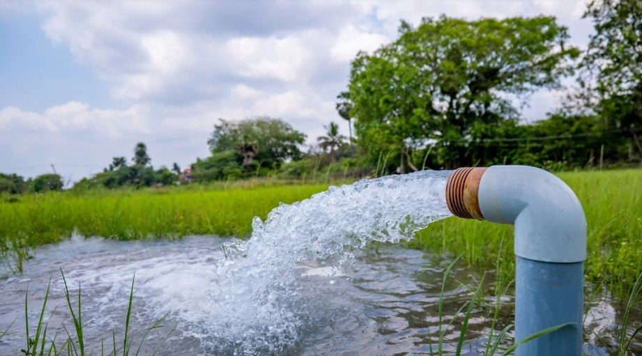 Telaah: Terobosan kebijakan lahan dan air untuk swasembada pangan