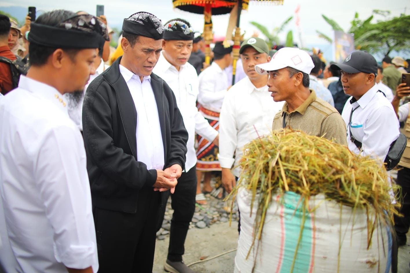 Luwu Timur Ditargetkan Tanam Padi Empat Kali Setahun oleh Mentan Amran