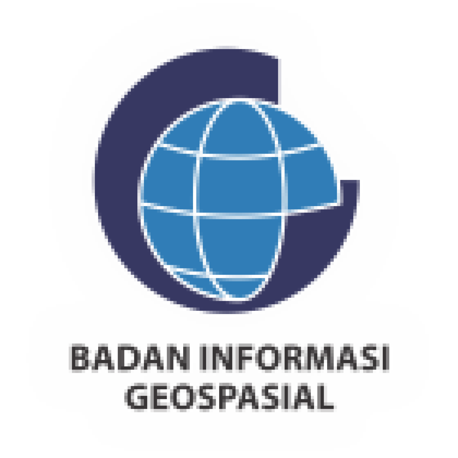 Badan Informasi Geospasial