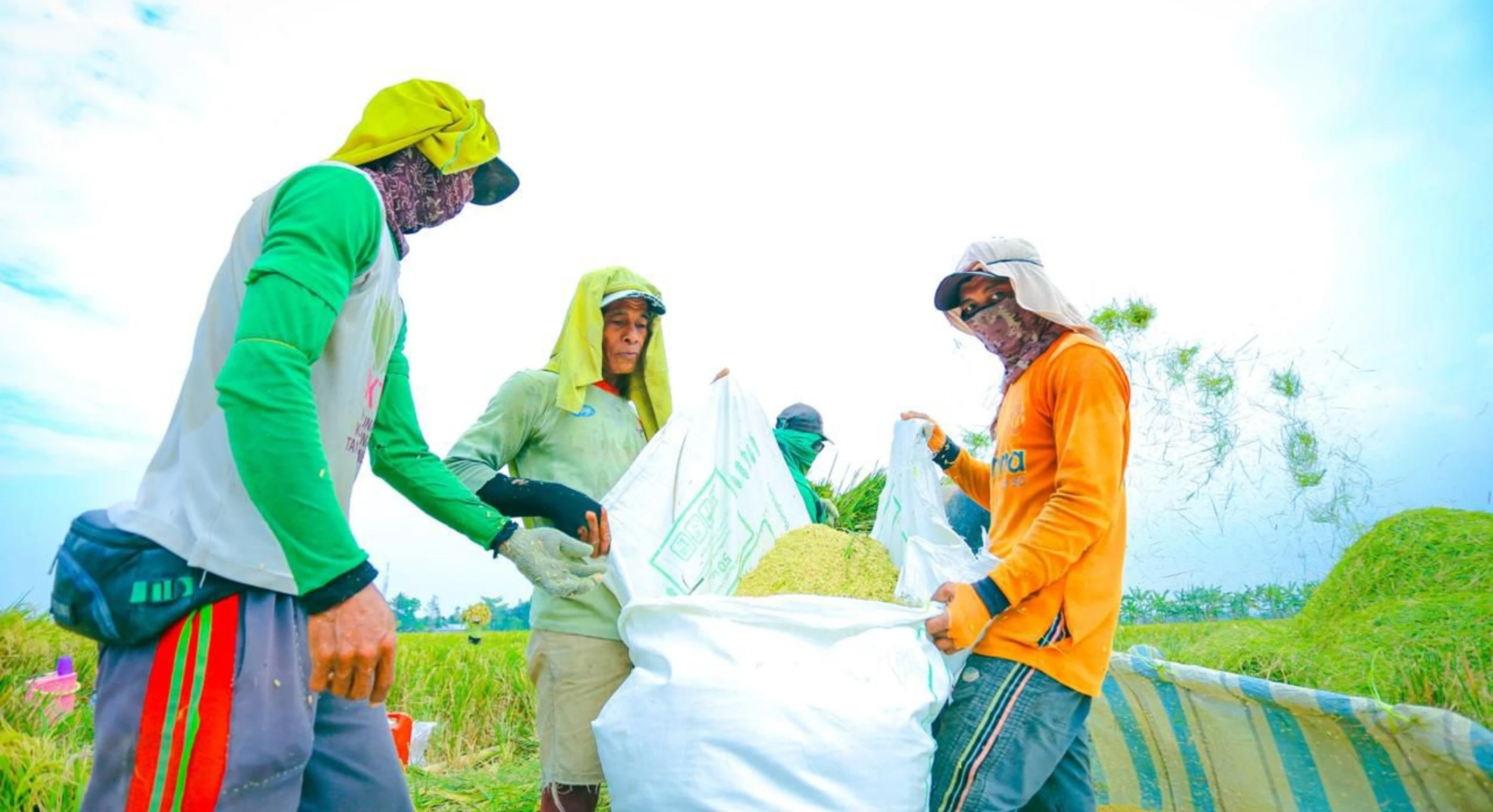 BPS Rilis Angka Tetap Produksi Beras 2025 Capai 34,69 Juta Ton, Naik 13,29 Persen