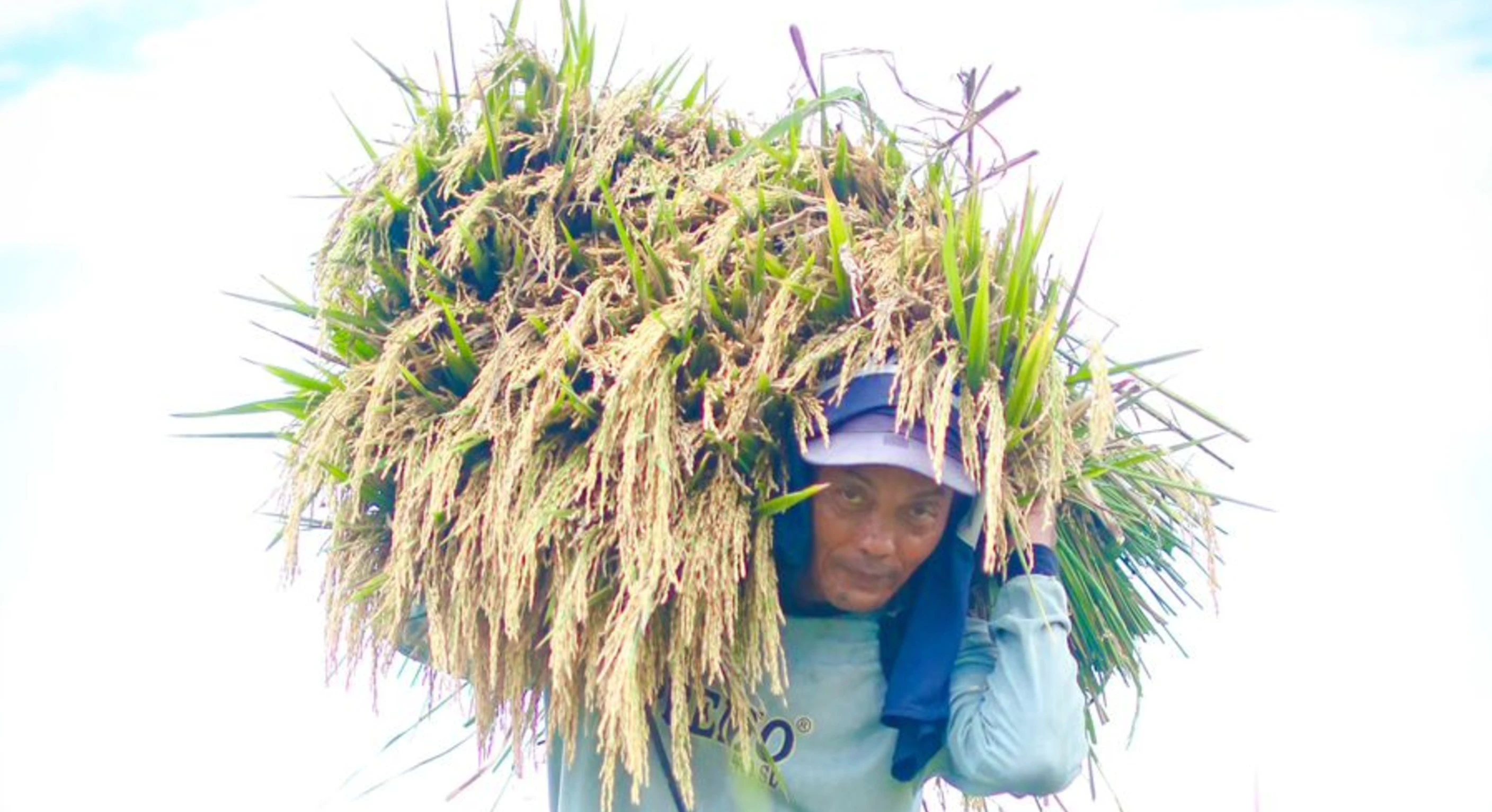 Pascabencana, Inflasi Berbalik Jadi Deflasi di Aceh, Sumut, Sumbar Berkat Pasokan Pangan Terjaga