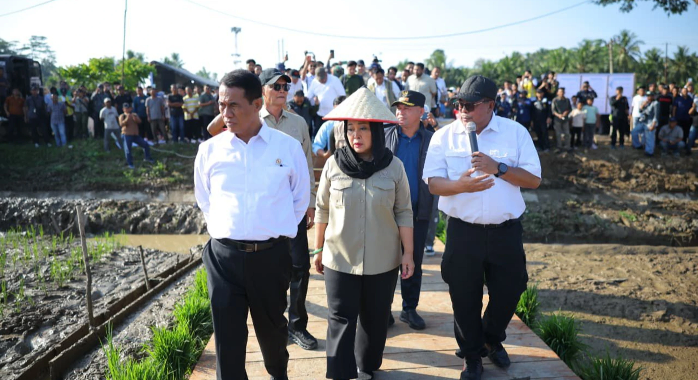 Kementan Alokasikan Rp336 Miliar untuk Rehabilitasi Sawah Terdampak Banjir di Sumatera