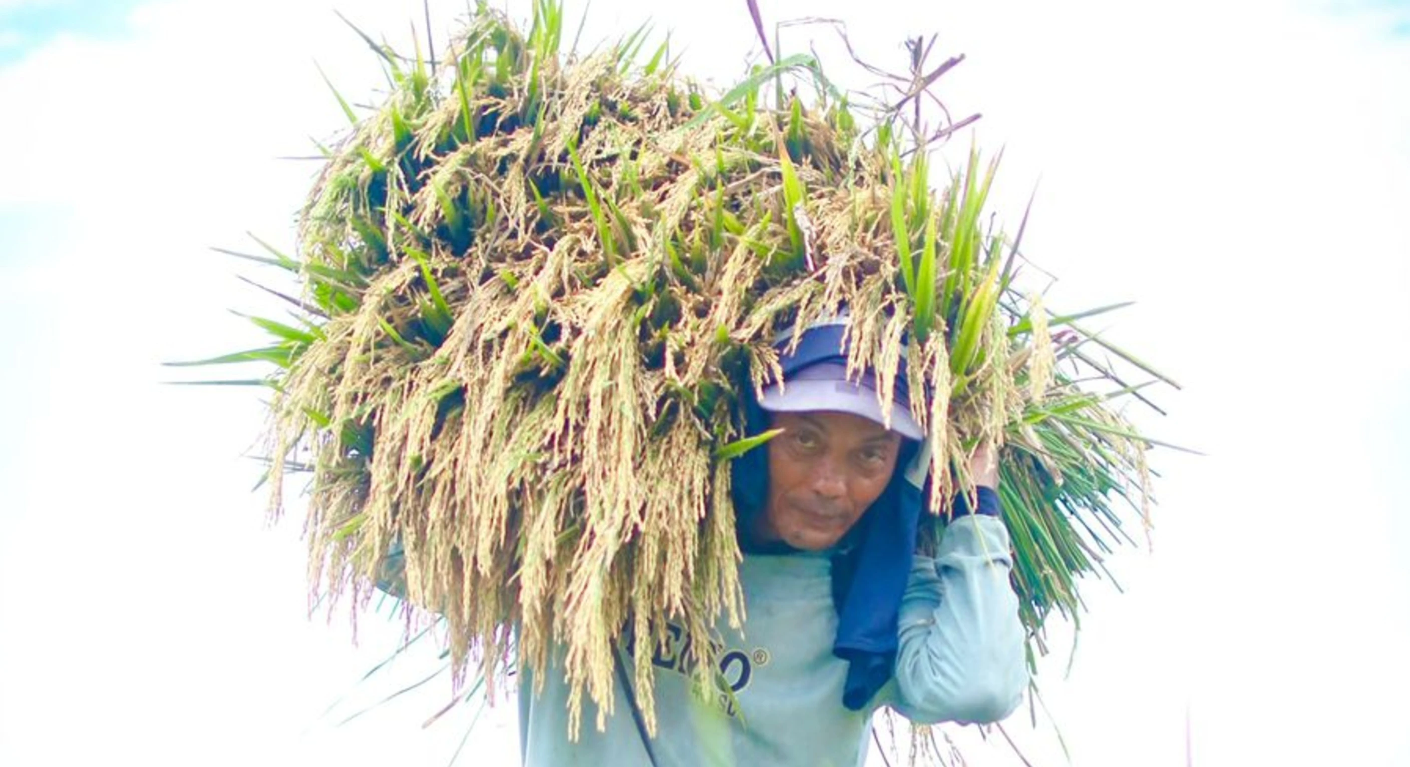 BPS Catat NTP Februari 2026 Tembus 125,45, Mentan Amran: Cetak Rekor Baru