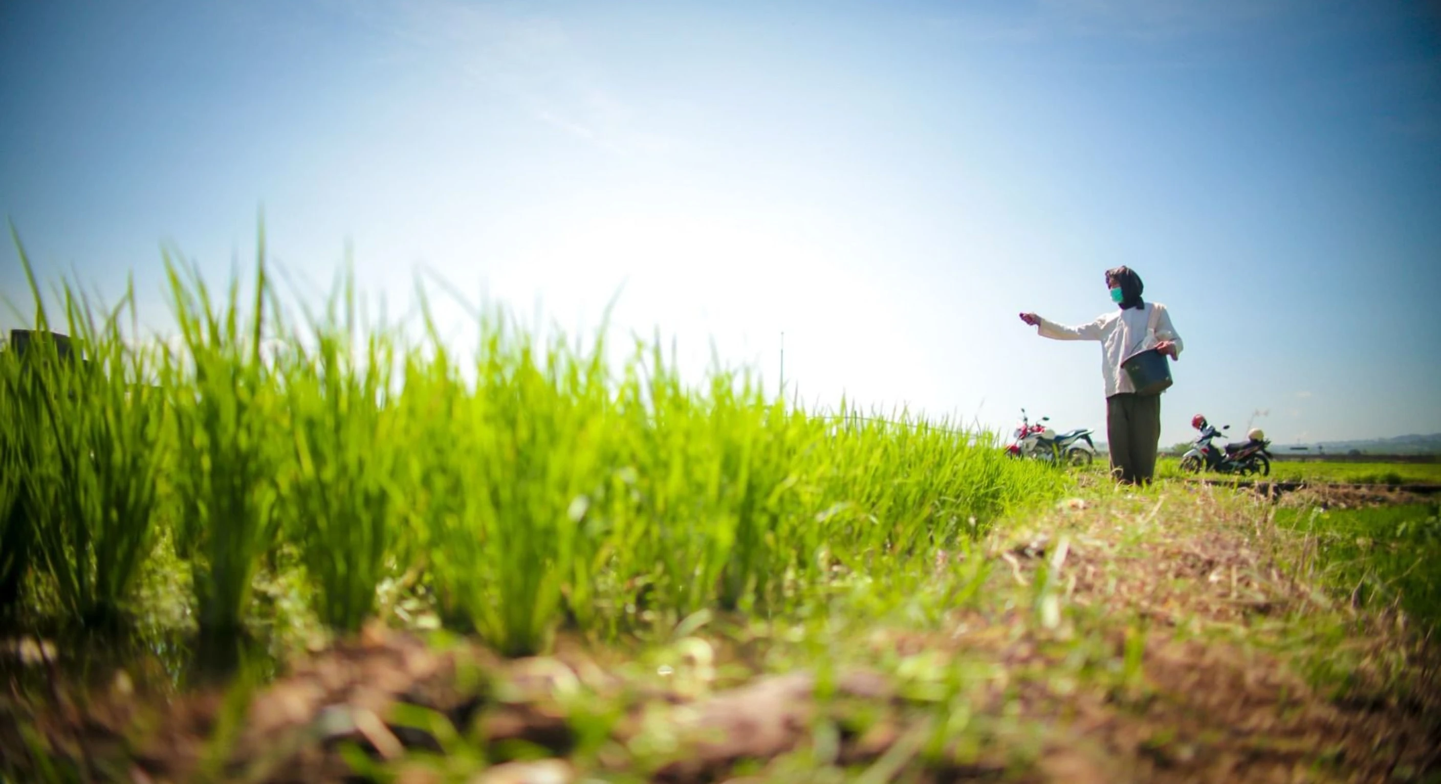 INDEF: PDB Pertanian TW IV-2025 Tumbuh 5,39%, Lebih Tinggi dari PDB Nasional