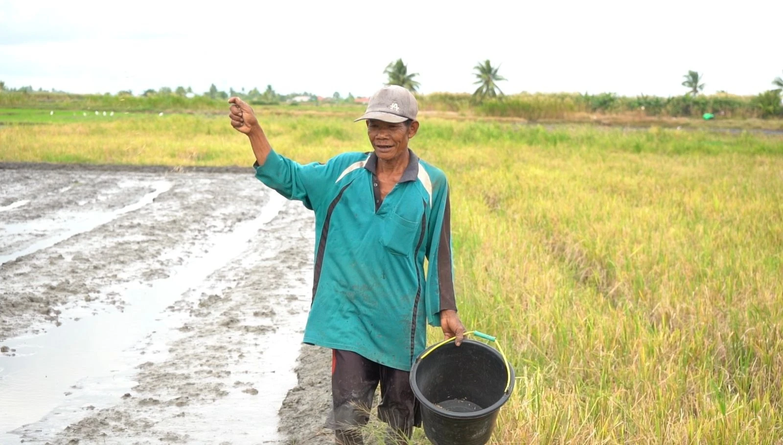 Kementan Kawal Sentra Pangan Merauke, Perkuat Antisipasi Dampak Dinamika Iklim
