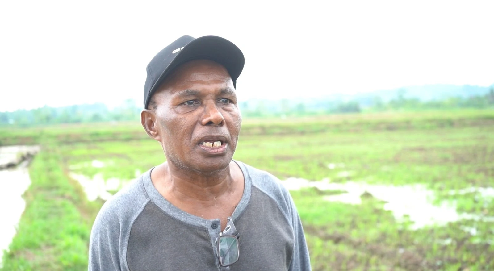 Tak Ada Perampasan Lahan, Masyarakat Papua Dukung Cetak Sawah