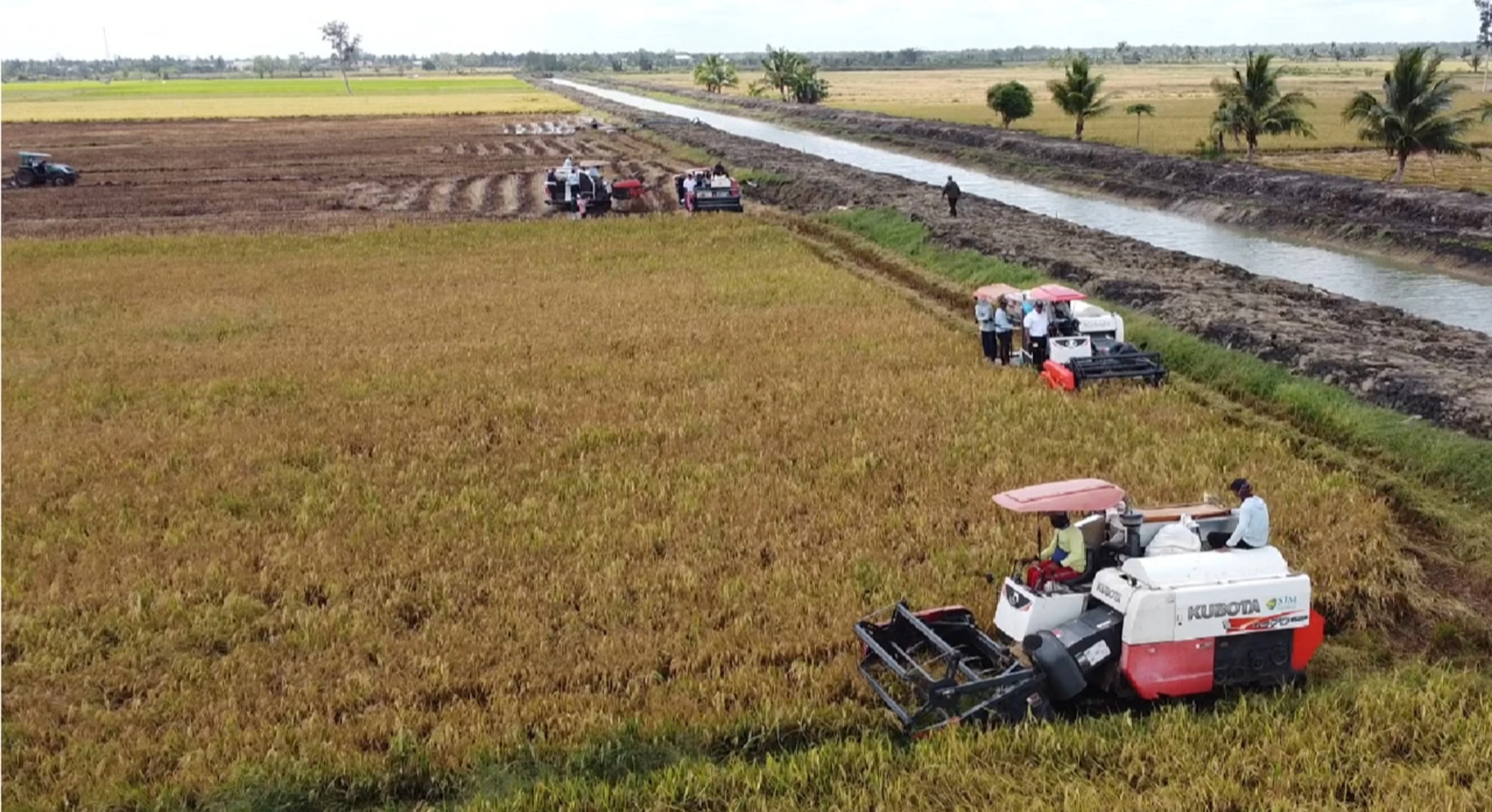 Kadis Pertanian Merauke: CSR dan Oplah Berhasil Tingkatkan Produksi dan Stabilkan Harga Beras