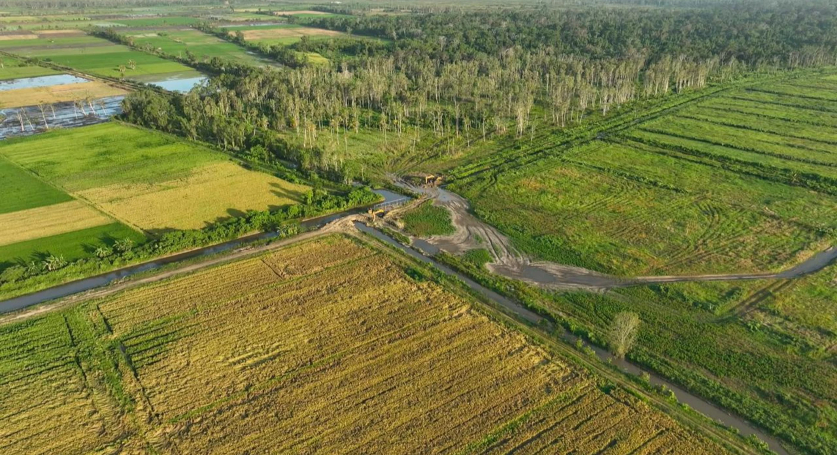 Produksi Beras Merauke Melonjak Signifikan, OPLAH dan Cetak Sawah Rakyat Jadi Pengungkit Utama