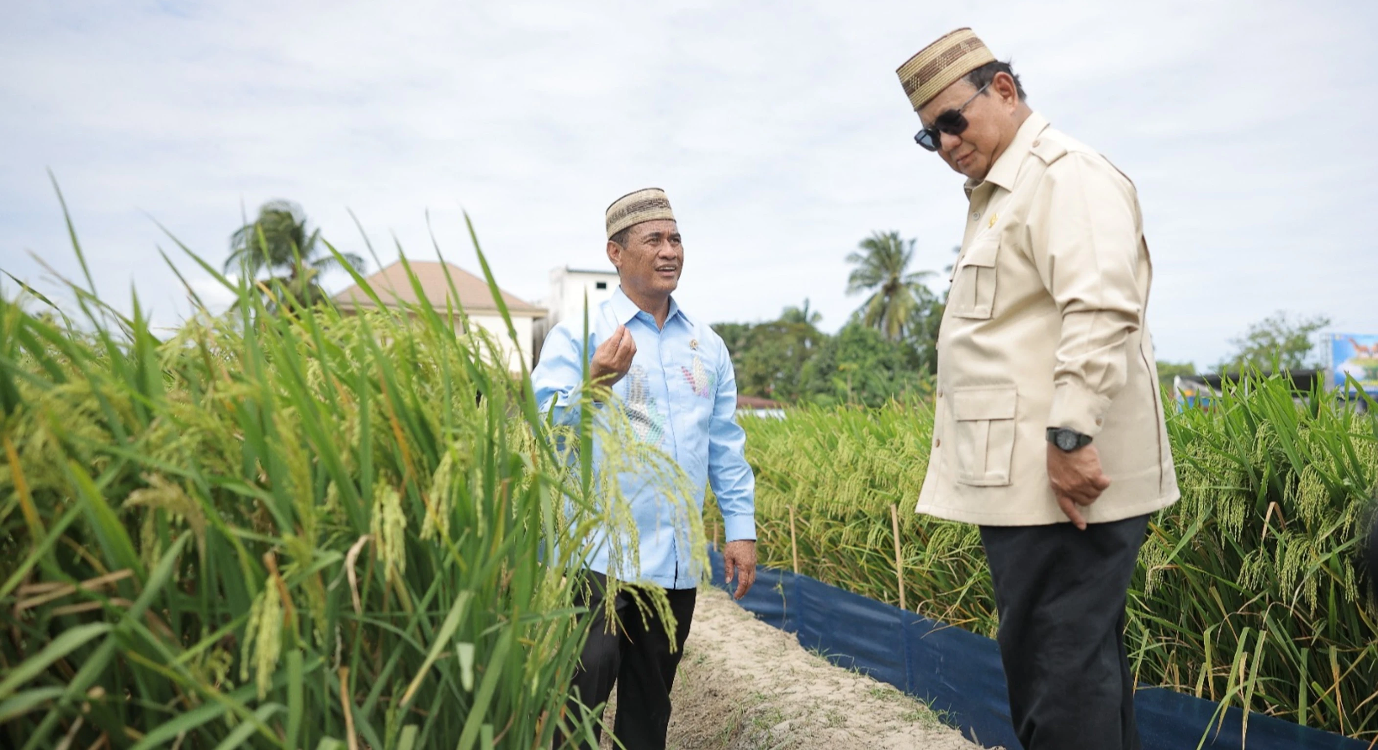 Tinjau Teknologi Tanam PM-AAS, Presiden Prabowo Sebut Inovasi Pertanian Revolusioner