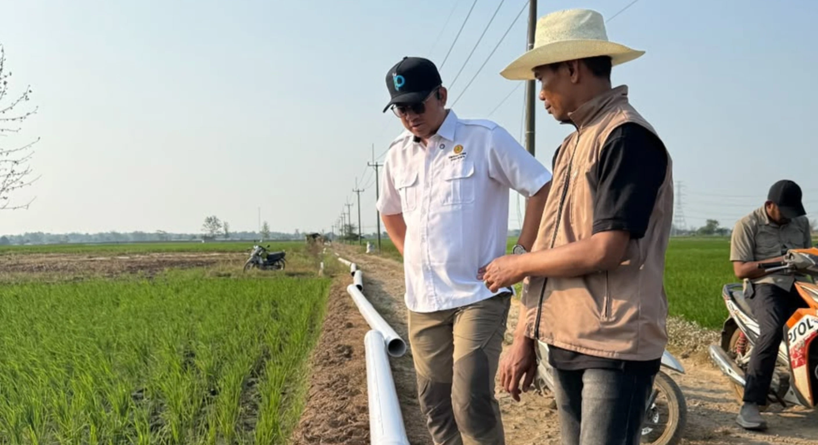 Air Ditarik 2 Km, Kementan Selamatkan 309 Ha Sawah Cirebon