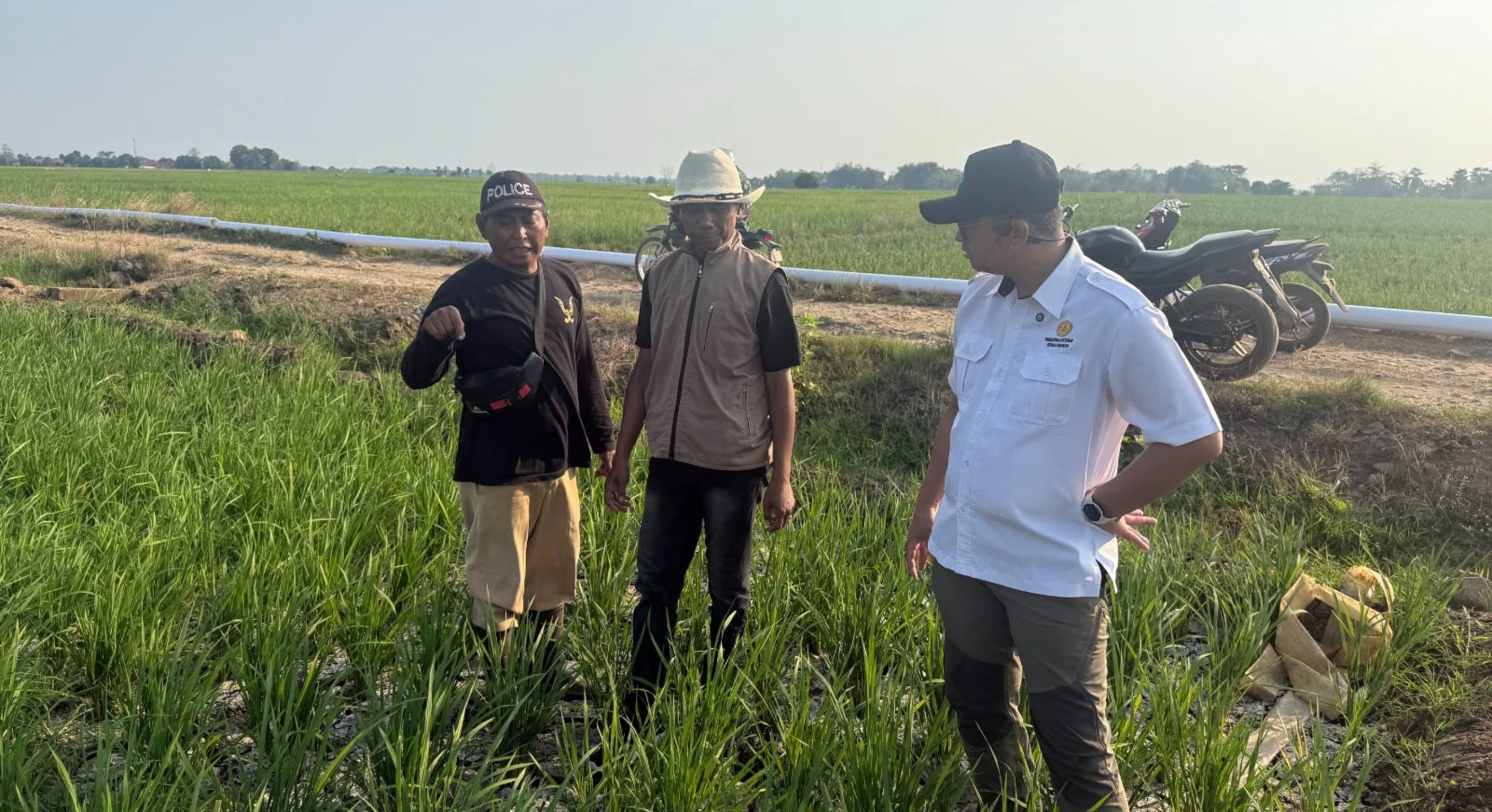 Kementan Perkuat Pasokan Air untuk 1.000 Hektare Sawah Karawang yang Terancam Kekeringan